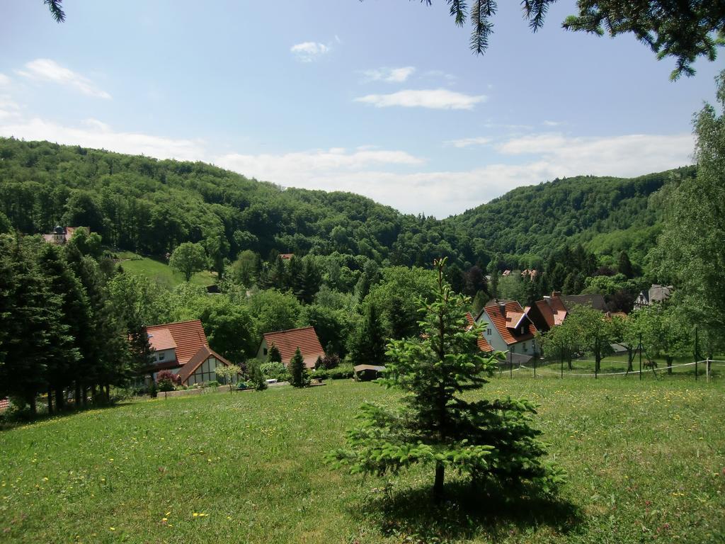 Ferienhaus Haus Am Wald Stolberg i. Harz Exterior foto